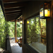Terrace view and partial room view, wrapped in dense forest.