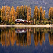 View from the lake to Boutique Hotel-cabins, immersed in groves of autumnal poplars. Mirror effect that creates an idyllic environment.