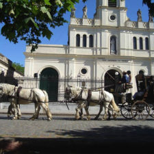Carriage pulled by white horses in front of a colonial church with white walls and a stone street.