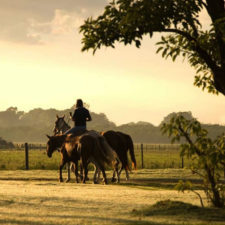 Horseback riding in a country setting with morning light.