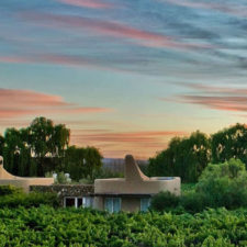 Asymmetrical architecture of cabins in a vineyard with a beautiful sunset.